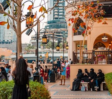 جواز سفر الإمارات