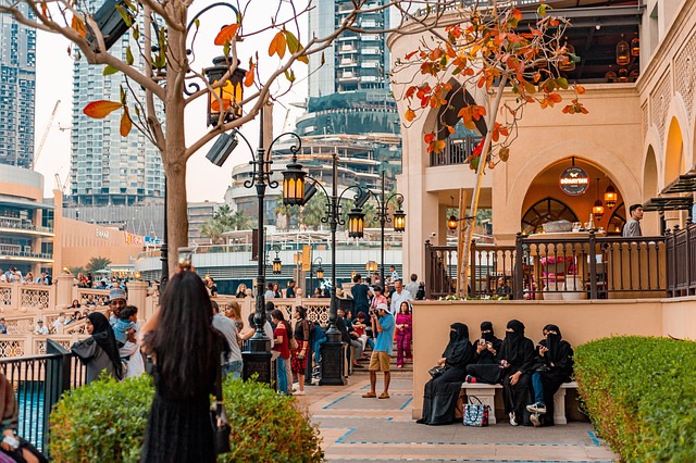 جواز سفر الإمارات