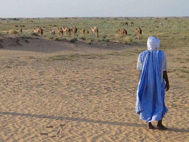 شروط السفر إلى موريتانيا وسعر التأشيرة والتكلفة