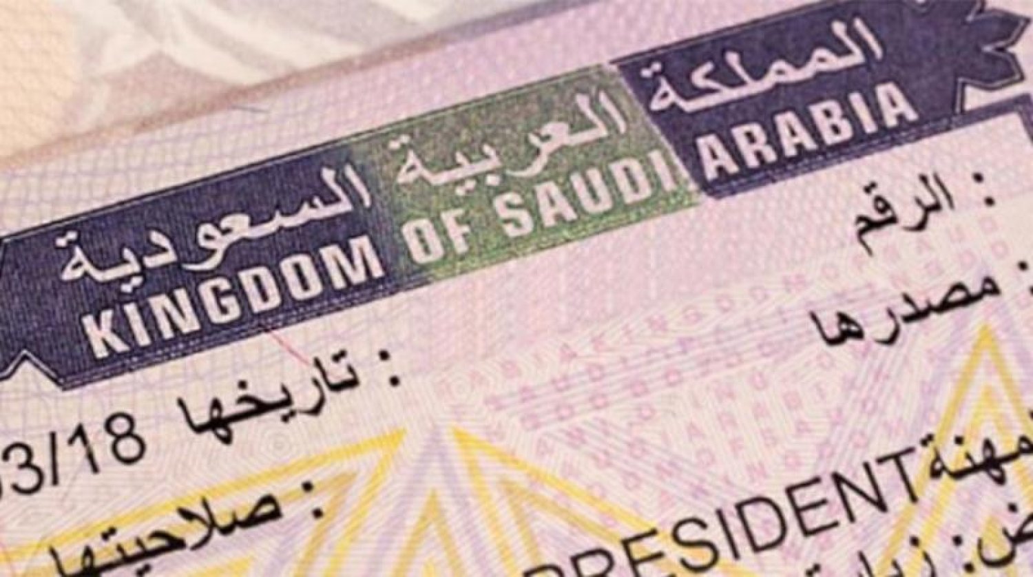 تأشيرة الزيارة الإلكترونية للسعودية لمدة عام.هل يمكن العمل من خلالها؟