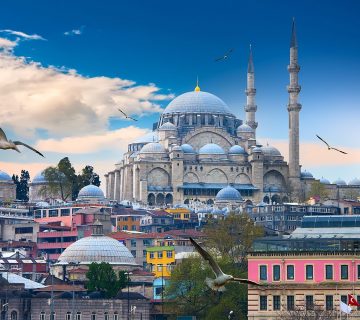 تأشيرة الرحل الرقميين في تركيا وشروط الحصول عليها